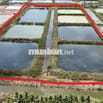 📢 BÁN ĐẤT NUÔI TRỒNG THỦY SẢN – VỊ TRÍ ĐẸP GẦN KHU ĐÔ THỊ FLC BẠC LIÊU
