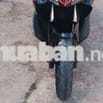 AB FI nhập thái