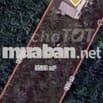 Cần bán đất vườn dừa 1,300m2 mặt tiền đường nhựa