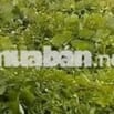 bán đất thổ cư mặt đường 242 gần trung tâm gần kcn hữu lũng