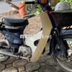 Honda Super Cub Xanh dương Đã qua sử dụng