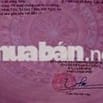 Đất đẹp tại Bản Minh Tiến, Quỳ Châu