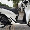 Honda SH 125 2024 Trắng