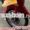 Suzuki Xipo 2000 Đỏ 120cc Bình xăng con zin Japan