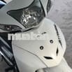 Honda Wave 2014 Trắng