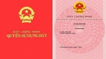 Luật sư tư vấn, tranh tụng, bảo vệ, bào chữa, đại diện các vụ khó