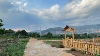 Bán lô đất sát nhựa đối diện cổng thôn Tầm Xá xã Đông Thanh giá 650 tr