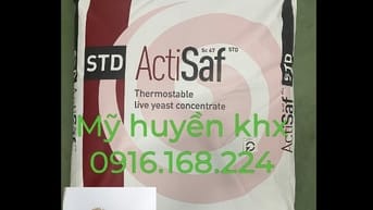 ACTISAF - nấm men saccharomyces cerevisiae đậm đặc