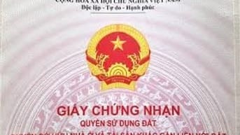 BÁN 2 MẢNH ĐẤT THỔ CƯ thôn Long Văn, Việt Đoàn, TP.Bắc Ninh, 8 tr/m2