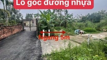 Mặt đường  nhựa Hòa Nghĩa  chỉ 9xx giá  đầu tư  - Diện tích 73.5m