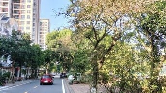 Bán hai căn hộ 100m và 138m, toà Green Bark ĐT Việt hưng, Long Biên HN