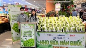 Một siêu phẩm cho mùa lễ hội 2024, Nho sữa đến từ đất nước Hàn Quốc 