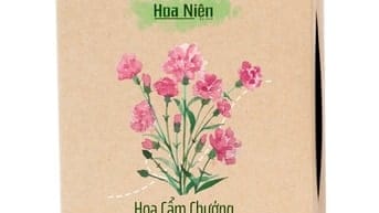 Bộ Kit Hoa Cẩm Chướng Hoa Niên Garden