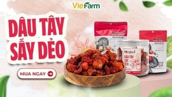 Dâu Tây Sấy Dẻo Berryland – Món Ăn Vặt Lành Mạnh, Thơm Ngon Từ Viefarm