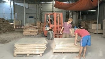 Cần tuyển GẤP NAM LĐPT làm ván ép