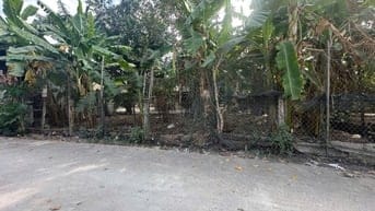 🔵6x20(120m2) Hẻm Trưng Trắc, Tân An, LaGi Giá 1 Tỷ