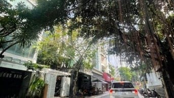 Hẻm xe hơi, 5,3x18m, còn 14.6 tỷ khu cực kỳ đẹp gần hẻm 324 LTK, Q10.