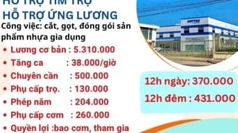 Tuyển dụng lao động phổ thông/thời vụ/chính thức 