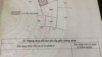 Bán nhà cấp 4 phường 7 hẻm nội bộ xe hơi 4m đi tận cửa DT 359m2