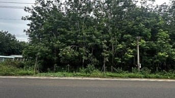 CHO THUÊ ĐẤT TẠI CHƠN THÀNH PHÙ HỢP LÀM XƯỞNG,BÃI XE