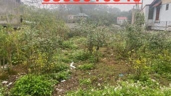 Đất full thổ cư không tranh chấp