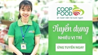 🎇 TIN VUI CHO NGƯỜI THẤT NGHIỆP ✴️ SIÊU THỊ COOPFOOD TUYỂN NHÂN VIÊN