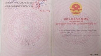 Sang nhượng đất trồng cây lâu năm ở xã Tân Phú Trung, huyện Củ Chi.