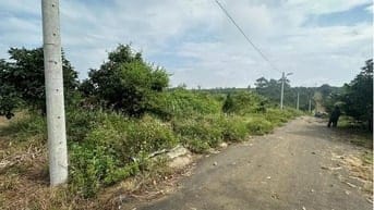 Công ty Đấu giá hợp danh Lam Sơn Sài Gòn THÔNG BÁO ĐẤU GIÁ TÀI SẢN