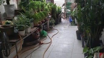 Cho thuê tầng 1 và 1 tầng hầm làm cửa hàng.
