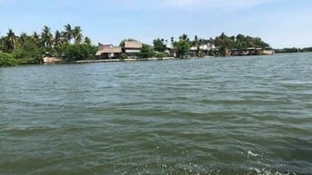 Đất cây lâu năm phú đông mặt rạch 800tr/1000m2