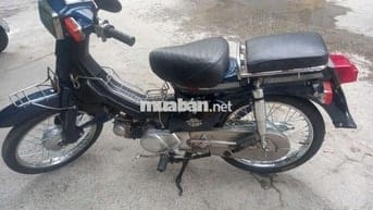 Cúp 70cc nhật