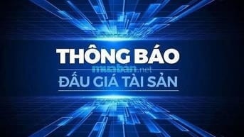 CÔNG TY ĐẤU GIÁ HỢP DANH DẦU KHÍ VIỆT NAM THÔNG BÁO BÁN ĐẤU GIÁ 