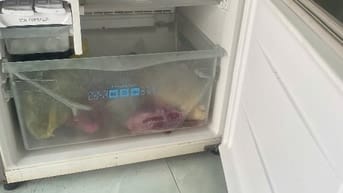 Thanh lý tủ lạnh 400L lốc zin 