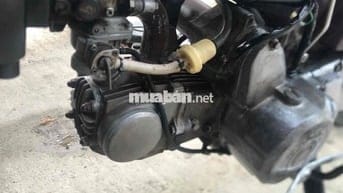 Gia Đình cần bán cup tôm 50cc