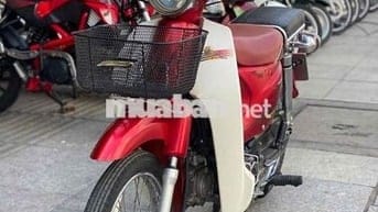 cup 50cc bstp