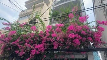 Cho thuê nhà hxh 16/1D Đinh Tiên Hoàng  p Đakao Quận 1 