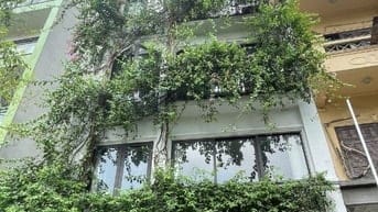 NHÀ PHAN KẾ BÍNH 80M VUÔNG CÓ 16 TỶ