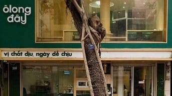 Cho thuê nhà Quang Trung - Hai Bà Trưng - mặt phố 50 triệu - đoạn đẹp