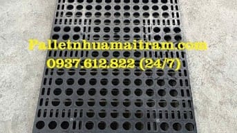 Bán Pallet nhựa cũ Đồng Nai đảm bảo chất lượng uy tín lên hàng đầu