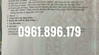 Bán lô đất thổ cư ngay sau chợ Hòa Phú, Hòa Phú, Củ Chi.