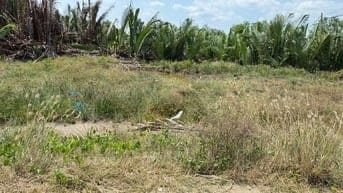 Cần bán 422m2 đất nông nghiệp,mặt tiền đường Gò Me, Nhà Bè giá 1tỷ100 