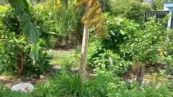 1.390 TỶ/ 91m2 full thổ,sổ riêng, hẻm ô tô 1 xẹc sát đường lớn, KDC 