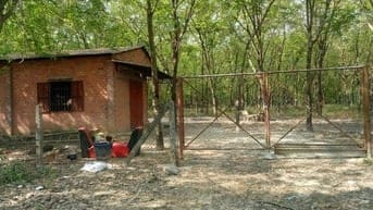 GĐ bán đất CAO SU 4.3ha (2 tỷ 520/ha TL) gần KCN Chà Là, cạnh kênh Tây