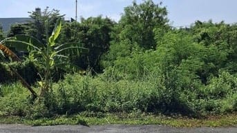 Bán đất mặt tiền D4 phường Phú Hữu Quận 9 giá 29,1 tỷ