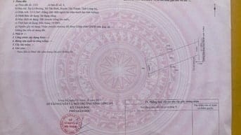 Bán đất chính chủ xã Tân Bình tân thạnh Long An 