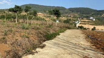 Bán 150m2 đất Đông Thanh chỉ 430 triệu, cách đường nhựa 500m