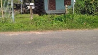 Bán lô đất 300m2 có nhà cấp 4, mặt tiền đường nhựa Bình Chánh
