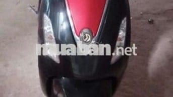 Cần bán