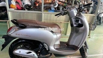Xe scoopy 2024 màu xám