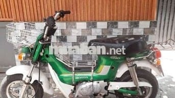 Chaly 50 xe nhật có đề